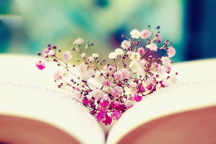 Hạnh phúc là do bản thân bạn lựa chọn và chỉ có bạn mới có quyền quyết định điều đó