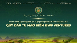 QUỸ ĐẦU TƯ MẠO HIỂM BWF VENTURES
