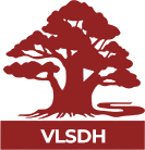 VIỆN LỊCH SỬ DÒNG HỌ